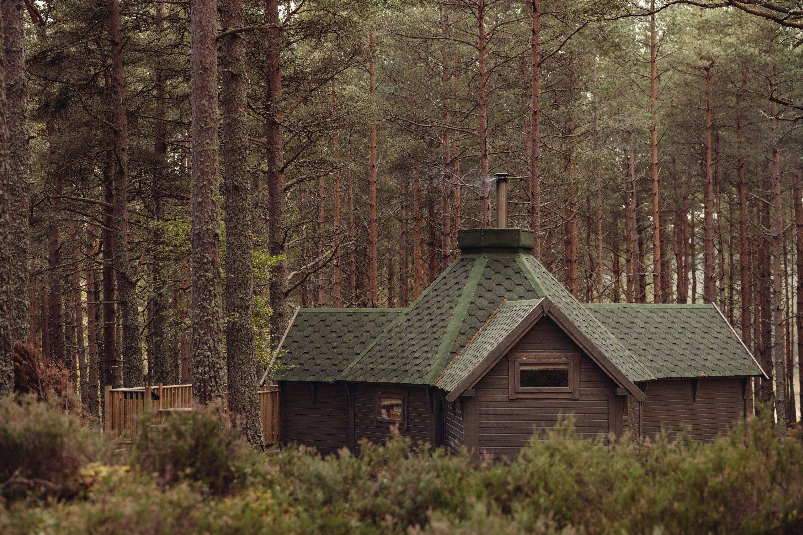 Cairngorm bothy in the woods 