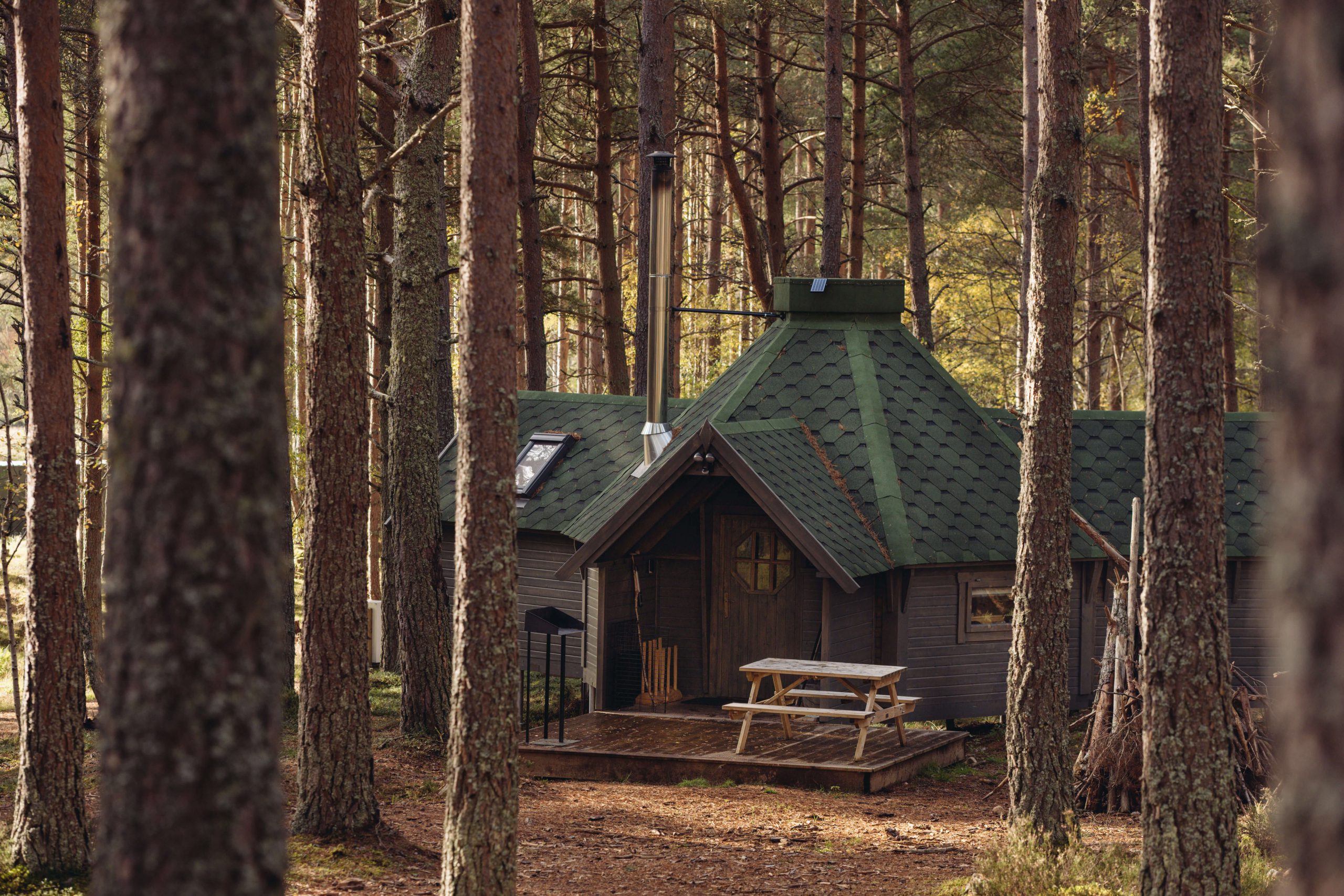Bothy in the woods