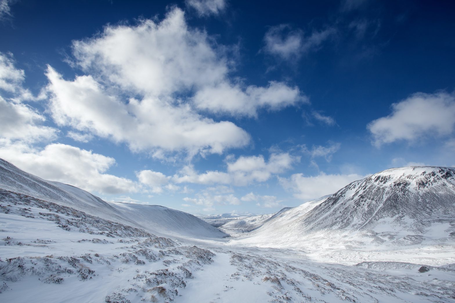 Snowy scenes at Cairngorms