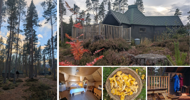 Autumn cb Autumn breaks in the cairngorms