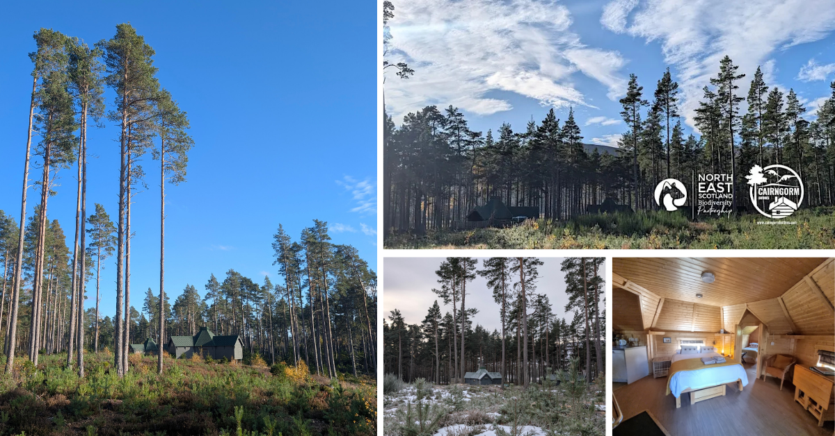 Wellness and relaxation at the award winning selfcatering Cairngorm Bothies